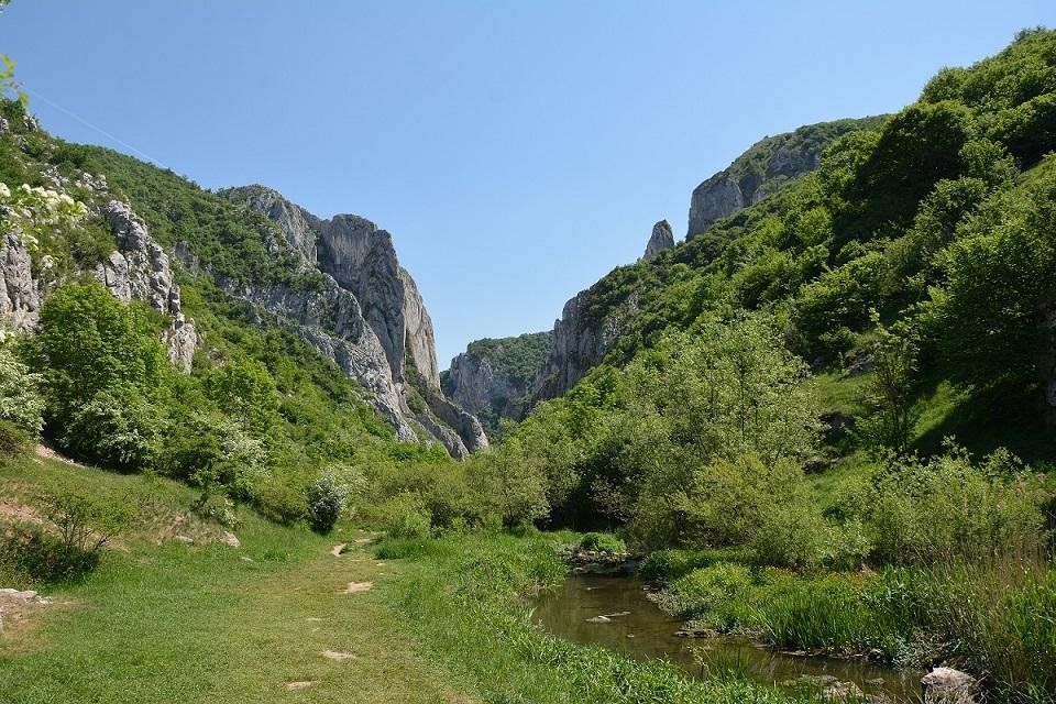 Din 1 iunie, cu atobuzul public spre Cheile Turzii. Activiștii cer linii și spre Someșul Cald și Tarnița