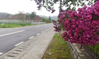 A fost finalizat DRUMUL APUSENILOR. Întregul traseu, în lungime de peste 25 de km, a fost reabilitat cu fonduri europene