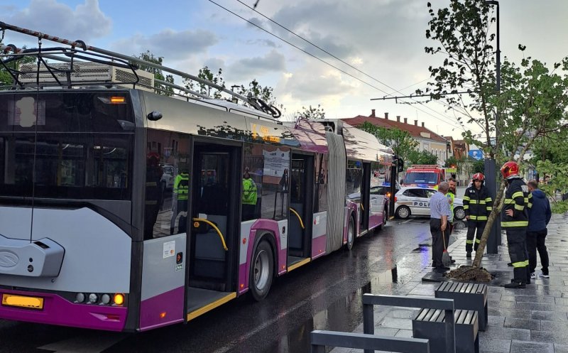 Femeie transportată la spital, după ce un autobuz public a evitat un copac ce riscă să cadă pe șosea