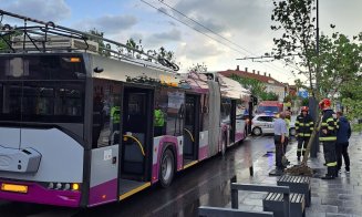 Femeie transportată la spital, după ce un autobuz public a evitat un copac ce riscă să cadă pe șosea