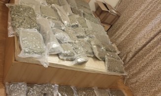 Captură impresionantă în Cluj. Zeci de kilograme de droguri confiscate în urma perchezițiilor