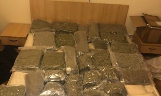 Captură impresionantă în Cluj. Zeci de kilograme de droguri confiscate în urma perchezițiilor