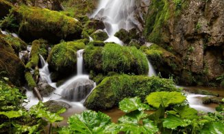Rezervația superbă din Apuseni care merită vizitată în minivacanța de Rusalii. Este considerată o minune naturală