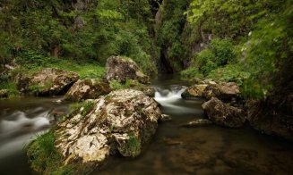 Rezervația superbă din Apuseni care merită vizitată în minivacanța de Rusalii. Este considerată o minune naturală