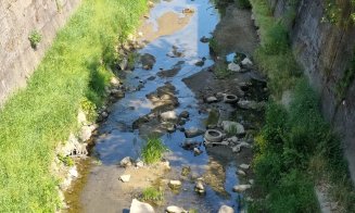 Poluare pe un afluent al Someșului