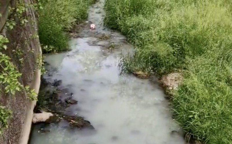 Poluare pe un afluent al Someșului. Apa are un aspect albicios