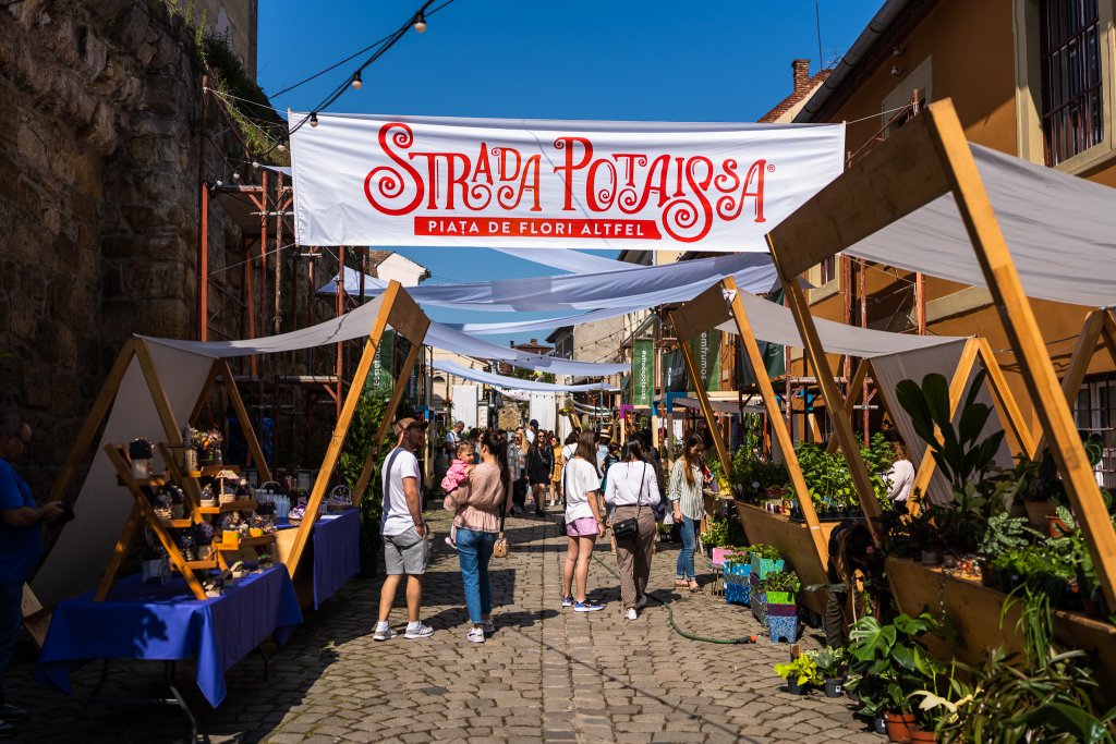 Ziua de Cluj Piața de flori și concertele au revenit pe strada Potaissa