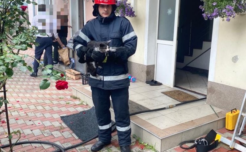 Un nou incendiu în Cluj-Napoca! N-au fost victime, dar pompierii au salvat o pisică