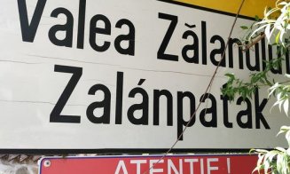 Cadou uriaş pentru Regele Charles, adus de femei la poartă
