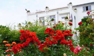 Ce poți vizita la Grădina Botanică Cluj: Rosarium, locul unde trandafirii își dezvăluie acum toată splendoarea!