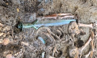 O sabie veche de 3.000 de ani a fost descoperită de arheologi. Cât de bine s-a păstrat