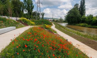 Parcul Armătura e gata. Urmează recepția lucrărilor