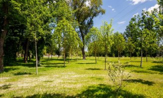 Parcul Armătura e gata. Urmează recepția lucrărilor