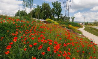 Parcul Armătura e gata. Urmează recepția lucrărilor