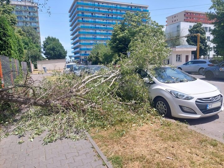Copac căzut peste o mașină în Gheorgheni. Și încă nu a venit furtuna anunțată...