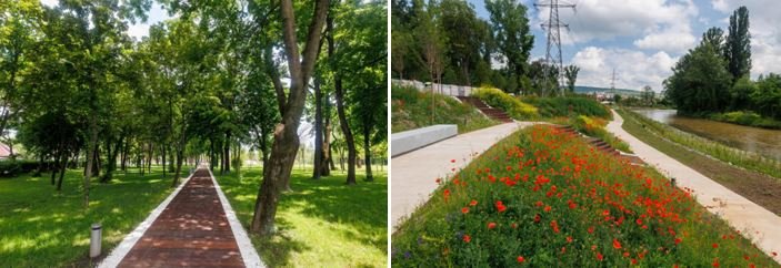 Cum arată Parcul Armătura după modernizare. Alei, piste de biciclete, mobilier urban și peste 200 de arbori plantați
