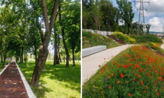 Cum arată Parcul Armătura după modernizare. Alei, piste de biciclete, mobilier urban și peste 200 de arbori plantați