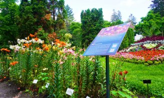 Grădina Botanică Cluj-Napoca: flori cultivate de către greci și romani încă din cele mai vechi timpuri
