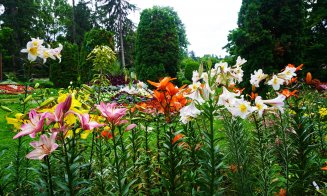 Grădina Botanică Cluj-Napoca: flori cultivate de către greci și romani încă din cele mai vechi timpuri