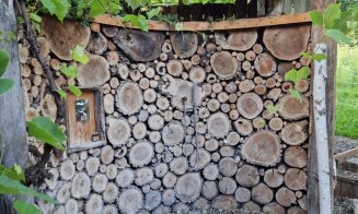 Cătunu' lui Victor, locaţie de vacanţă cu căsuţe vechi de peste 100 de ani