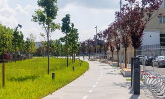 A început recepția lucrărilor la Platoul de la Sala Sporturilor „Horia Demian”