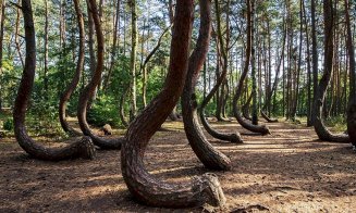 Transilvania, pe HBO: varză a la Cluj reinterpretată de un bucătar cu stea Michelin, pădurea Hoia și o gospodărie din lut și reciclabile