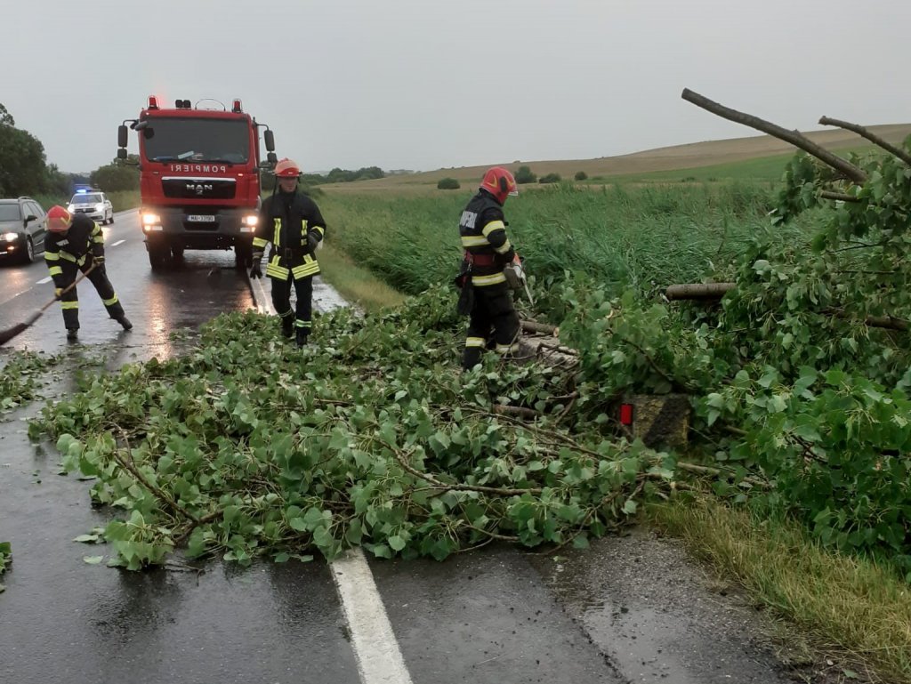 Furtuna a lovit Clujul! Acoperișuri smulse de vânt și copaci căzuți pe șosele