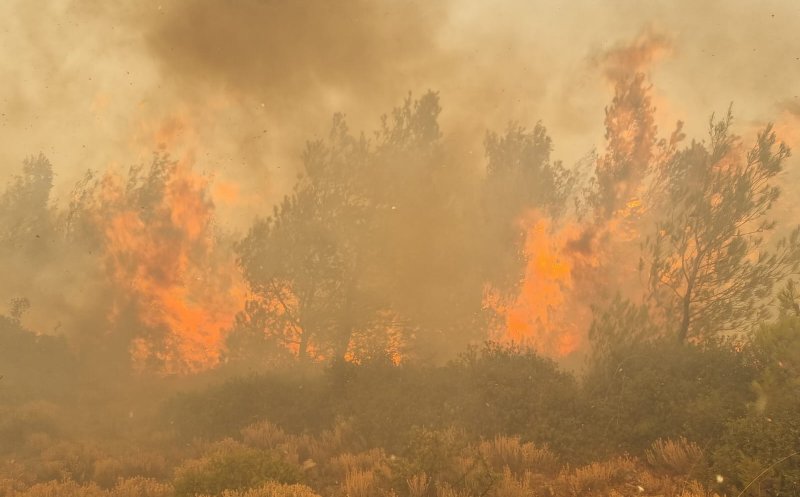 Incendii masive de vegetație în Grecia: Misiune de sprijin a pompierilor din România