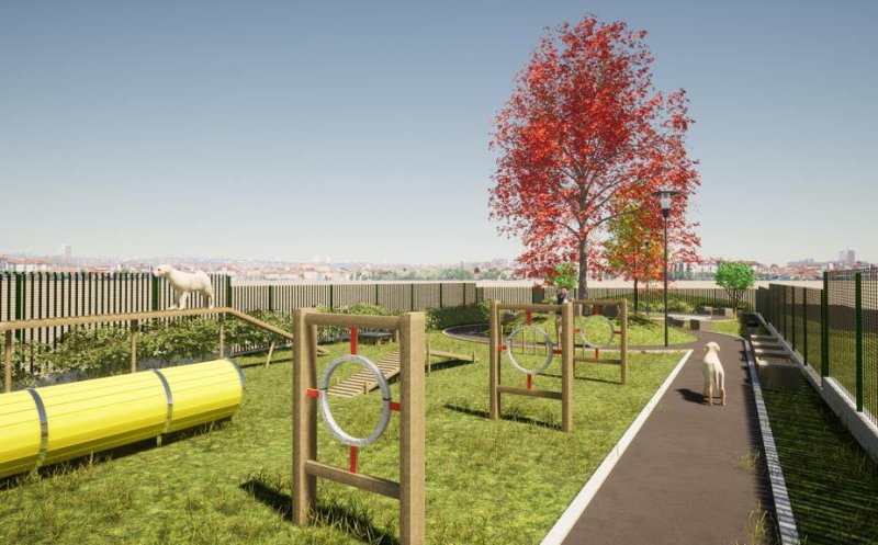 Floreștiul va avea parc canin! Primarul Pivariu a anunțat startul lucrărilor