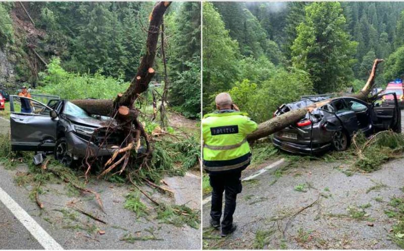 Accident TERIBIL pe Transalpina! O persoană A MURIT și una este rănită, după după ce un copac a ZDROBIT o mașină