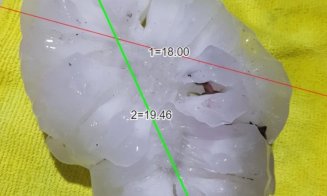GRINDINĂ de dimensiuni apocaliptice: ”Bob” de grindină cu diametru de 19 centimetri