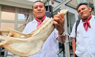 Mandibula unui cal folosită ca instrument de percuție de muzicienii mexicani la Festivalul Internaţional de Folclor de la Sibiu
