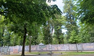 Parcul Central din Cluj, "cucerit" de armata voluntarilor UNTOLD