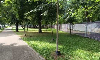 Parcul Central din Cluj, "cucerit" de armata voluntarilor UNTOLD