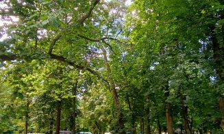 Parcul Central din Cluj, "cucerit" de armata voluntarilor UNTOLD