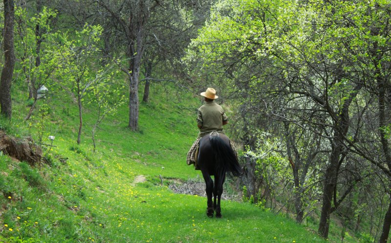 Limba veche a moților folosită în Munții Apuseni. Ce înseamnă “a aldui”, “a alipui” și “a buntuzi”