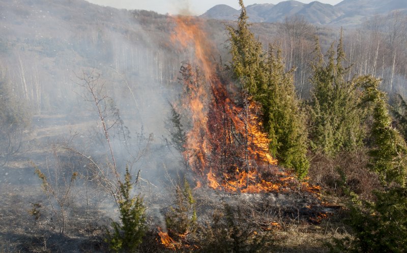 Protecţia Mediului: „Trebuie să oprim arderile de vegetaţie şi să pedepsim piromanii!” Mii de incendii în prima jumătate a anului