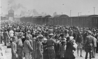 Materie nouă din toamnă - "Istoria Evreilor. Holocaustul". Deca: "Este esențial ca elevii să cunoască această perioadă tragică din istorie"