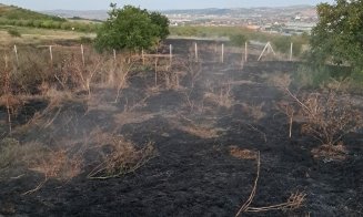 Incendiu de vegetație în apropierea unui bulevard din Cluj-Napoca. Două hectare afectate