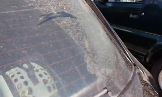 Câine închis într-un portbagaj, în parcare la Vivo, pe caniculă. Stăpânii, niciunde, animalul, în ŞOC TERMIC / Au intervenit pompierii şi poliţia