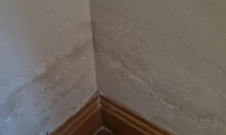 Amenzi de zeci de mii de lei la Hotel Paradis: Produse expirate, camere cu igrasie, praf în exces, rugină și mucegai