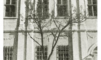 „Despre plastica fațadelor în arhitectura laică clujeană din perioada barocului târziu”