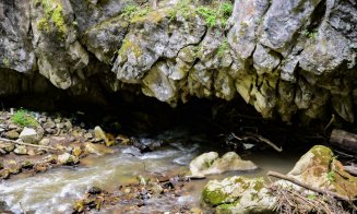 Podul modelat de forța naturii, supranumit “Minunea din Apuseni”, un loc de poveste