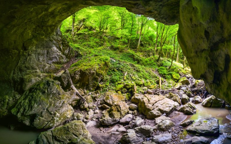Podul modelat de forța naturii, supranumit “Minunea din Apuseni”, un loc de poveste