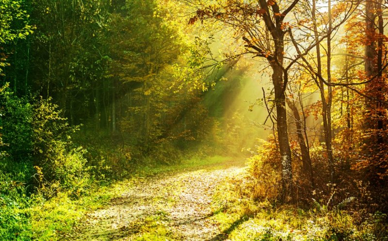 PROGNOZA pentru prima lună de toamnă. Cum va fi vremea în septembrie/ Când vin ploile
