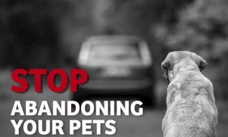 Un câine a fost ucis de propriii stăpâni fiind închis în portbagaj pe caniculă. Protectia Animalelor Cluj organizează sesiuni de informare