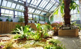 Plantele carnivore își dezvăluie secretele la Grădina Botanică din Cluj-Napoca. Vezi programul