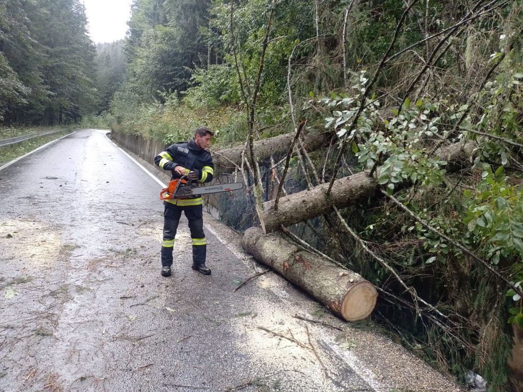 Copaci căzuți pe drum în județul Cluj din cauza furtunii. Pompierii au intrevenit pentru a debloca porțiunile de drum blocate