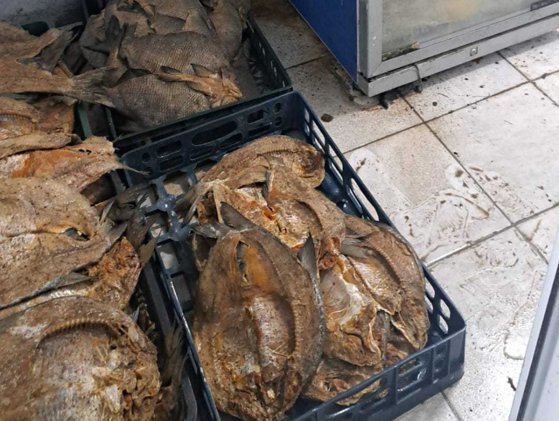 Bilanțul de vară ANSVSA de pe litoral. Inspectorii sanitari veterinari au dat amenzi de 5 mil. lei