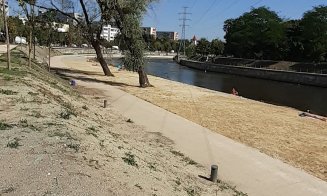 Zi de plajă în Grigorescu / "Au adus nisip?"